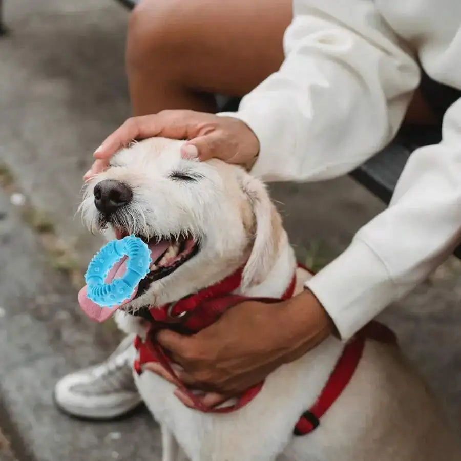 Dog Molar Plaything Natural Rubber Resistant Chewing Interactive Cleaning Bite Resistant Pet Supplies Dog Molar Toy