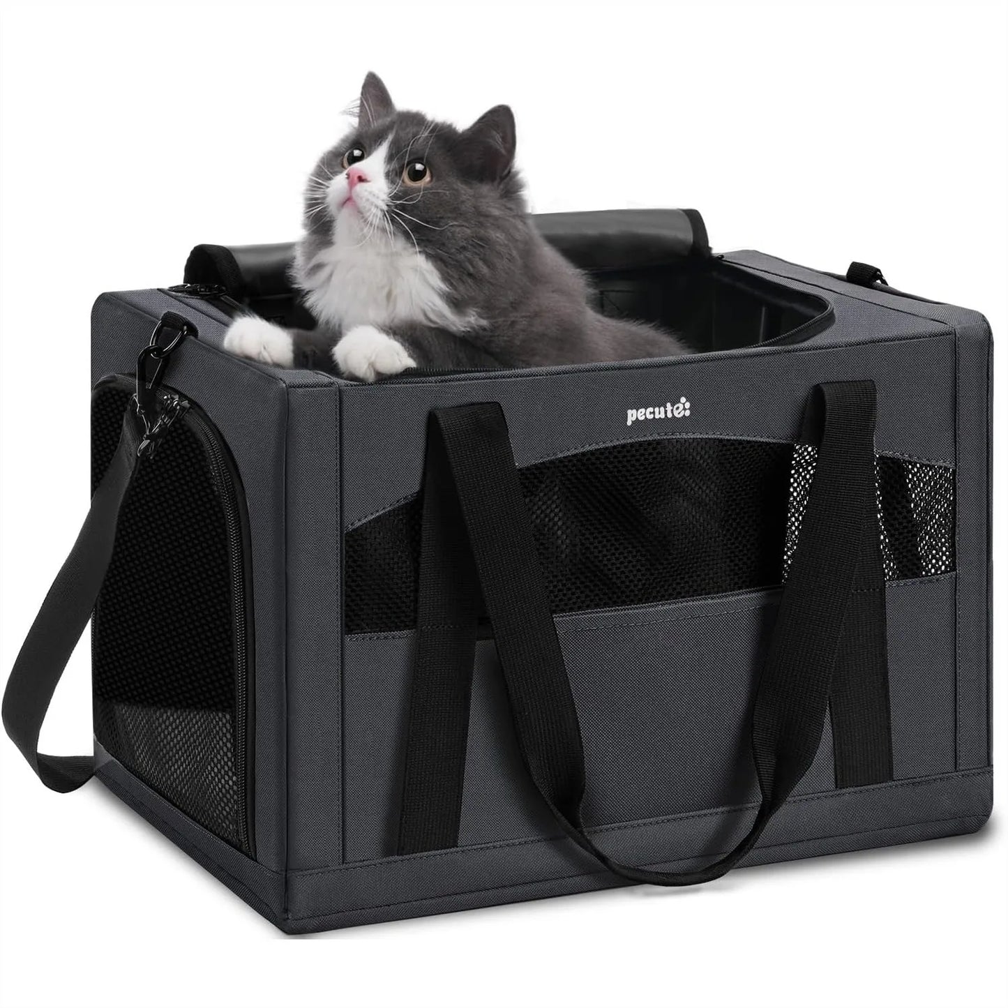 Cat Carrier for Car Travel, Soft-Sided Pet Carrier with Anxiety Relief Partition & Steel Frame, Safe Travel Bag for Cats Up to