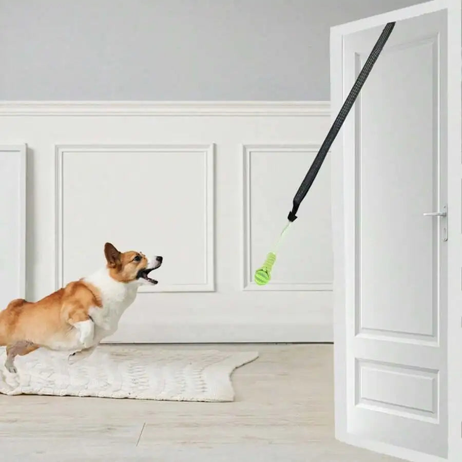 3 Pieces Hot Selling Pet Toy Set, Molar Teeth Cleaning Bite Rope And Bite Ball, Indoor Outdoor Interactive Tug Toy Bite